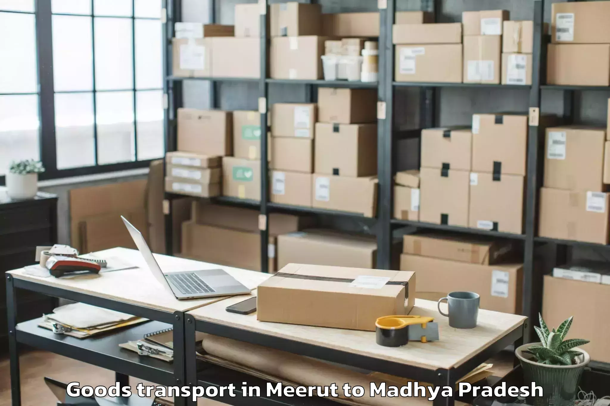 Discover Meerut to Dewas Goods Transport